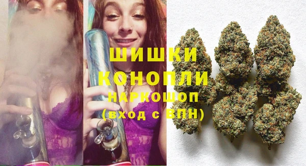шишки Наволоки
