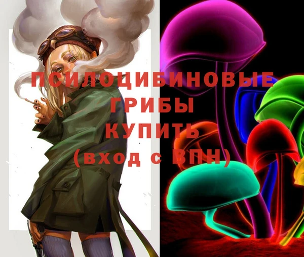 спайс Нея