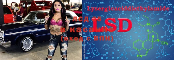 шишки Наволоки