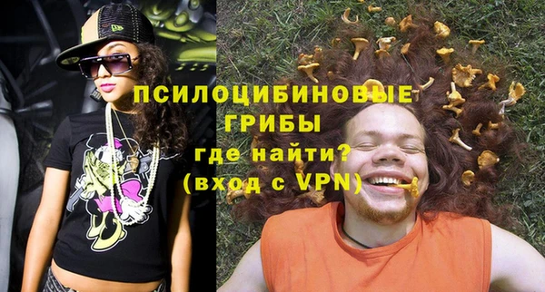 спайс Нея