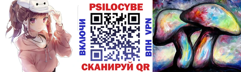 ОМГ ОМГ онион  Абакан  Псилоцибиновые грибы Psilocybe 