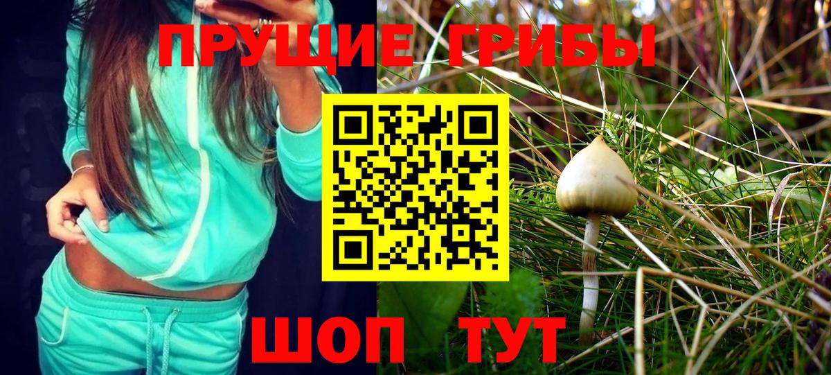 Псилоцибиновые грибы Magic Shrooms  Псилоцибиновые грибы мухоморы  Абакан  Вход с VPN 